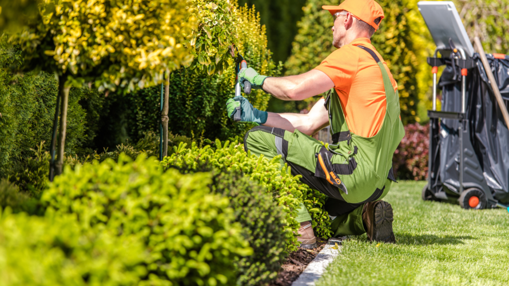 Landscape business owner
