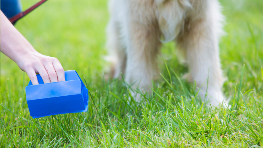 pet waste removal businesses