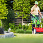 Landscaping Business