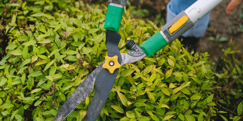 lawn care software